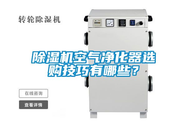 除濕機(jī)空氣凈化器選購技巧有哪些?
