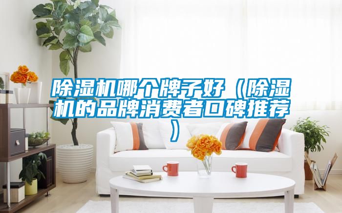 除濕機(jī)哪個(gè)牌子好(除濕機(jī)的品牌消費(fèi)者口碑推薦)