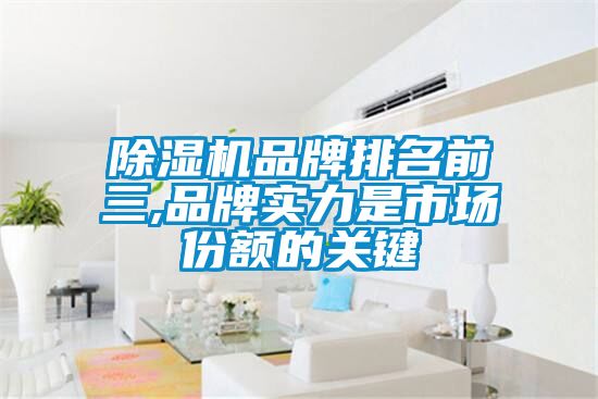 除濕機品牌排名前三,品牌實力是市場份額的關鍵