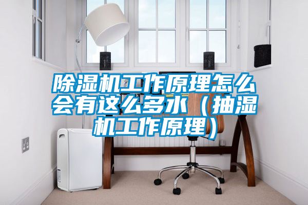 除濕機工作原理怎么會有這么多水(抽濕機工作原理)