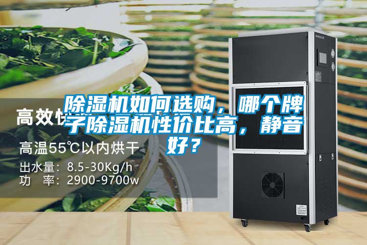 除濕機如何選購,哪個牌子除濕機性價比高,靜音好?