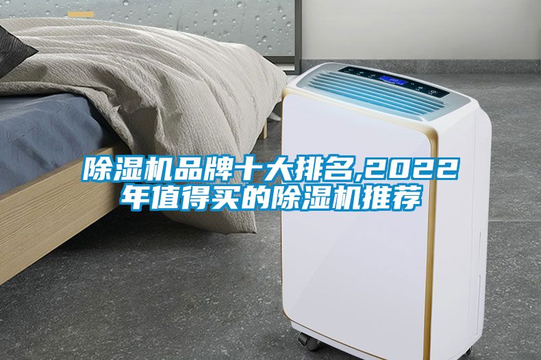 除濕機(jī)品牌十大排名,2022年值得買(mǎi)的除濕機(jī)推薦