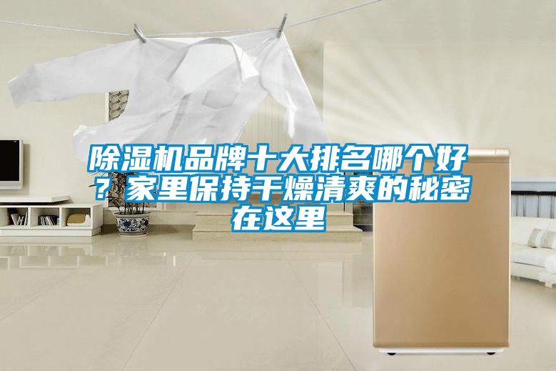 除濕機(jī)品牌十大排名哪個(gè)好?家里保持干燥清爽的秘密在這里