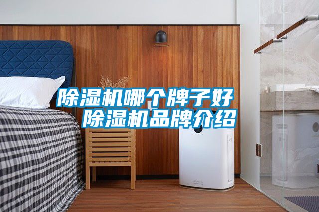 除濕機(jī)哪個(gè)牌子好 除濕機(jī)品牌介紹