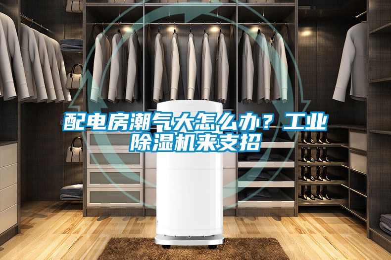 配電房潮氣大怎么辦?工業(yè)除濕機來支招