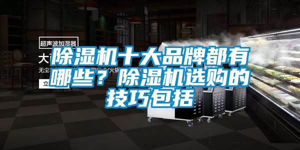 除濕機十大品牌都有哪些?除濕機選購的技巧包括
