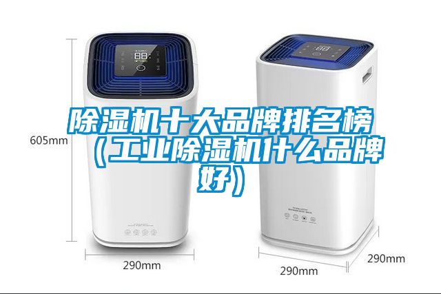 除濕機十大品牌排名榜(工業除濕機什么品牌好)