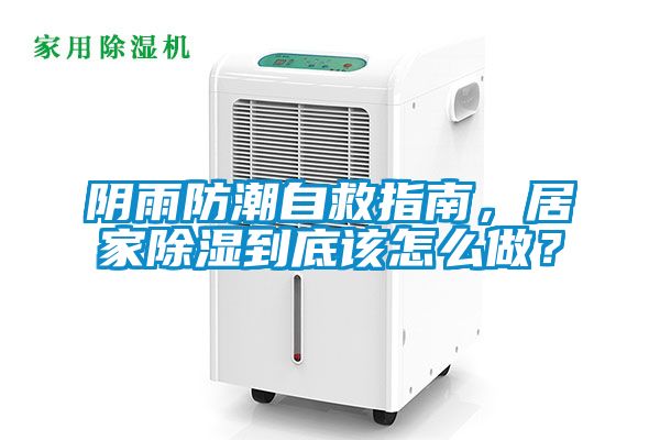 陰雨防潮自救指南,居家除濕到底該怎么做?