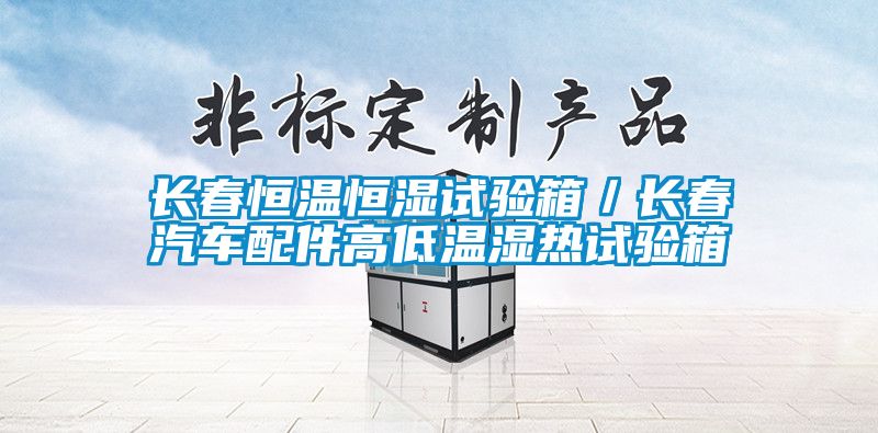 長春恒溫恒濕試驗箱/長春汽車配件高低溫濕熱試驗箱