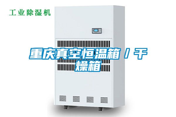 重慶真空恒溫箱/干燥箱