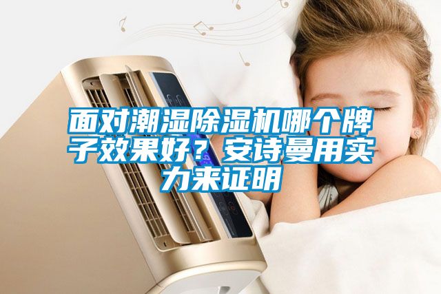 面對潮濕除濕機哪個牌子效果好?安詩曼用實力來證明