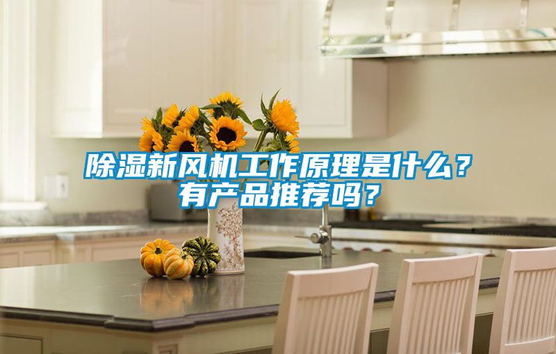 除濕新風機工作原理是什么?有產品推薦嗎?