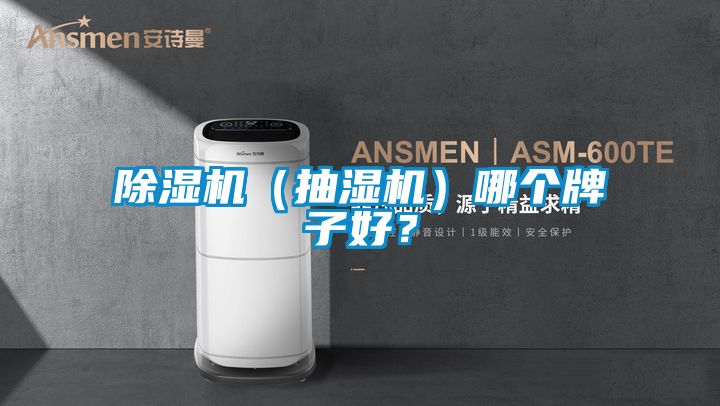 除濕機(jī)（抽濕機(jī)）哪個牌子好？