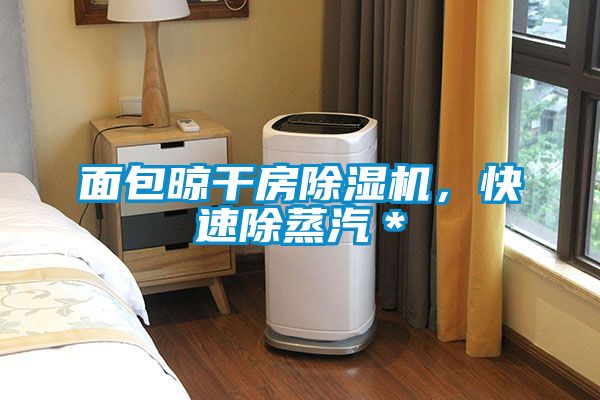 面包晾干房除濕機,快速除蒸汽*