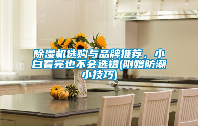 除濕機選購與品牌推薦,小白看完也不會選錯(附贈防潮小技巧)