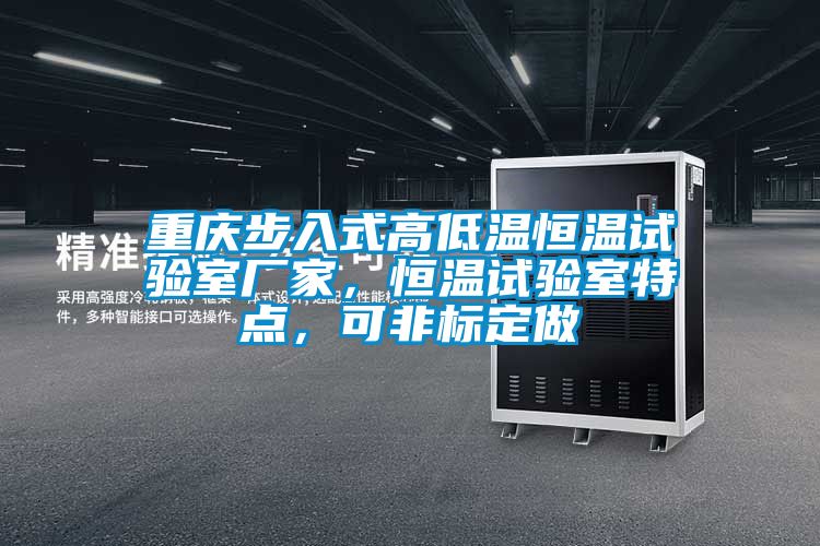 重慶步入式高低溫恒溫試驗室廠家,恒溫試驗室特點,可非標定做