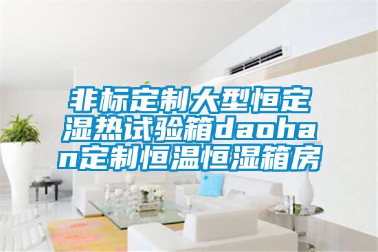 非標定制大型恒定濕熱試驗箱daohan定制恒溫恒濕箱房