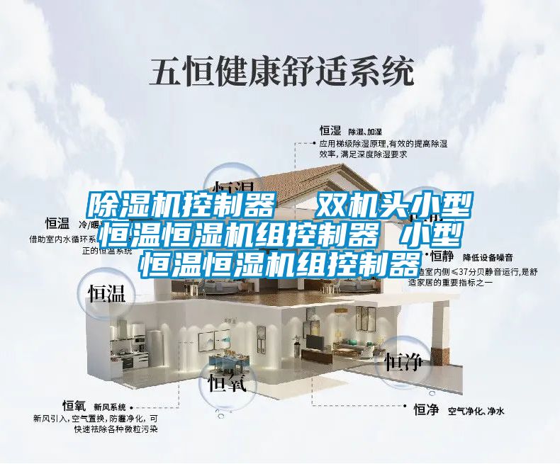 除濕機(jī)控制器 雙機(jī)頭小型恒溫恒濕機(jī)組控制器 小型恒溫恒濕機(jī)組控制器