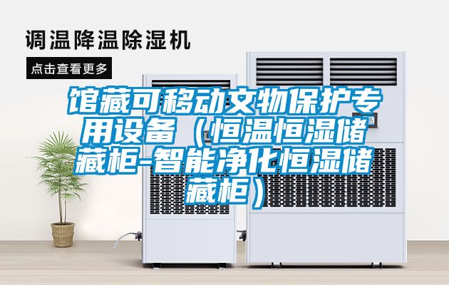 館藏可移動文物保護專用設備(恒溫恒濕儲藏柜-智能凈化恒濕儲藏柜)
