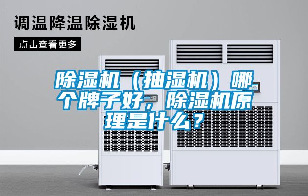 除濕機(jī)（抽濕機(jī)）哪個牌子好，除濕機(jī)原理是什么？