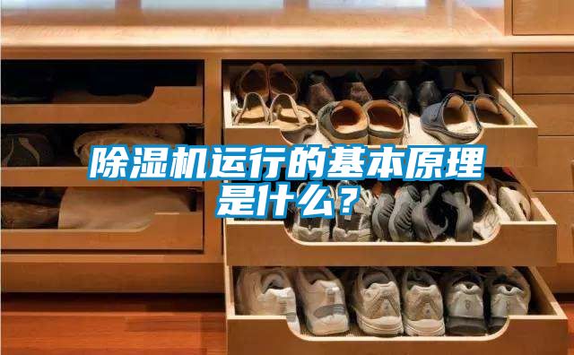 除濕機運行的基本原理是什么？
