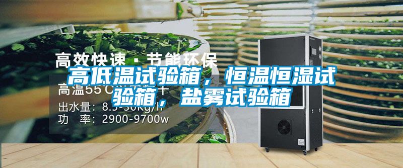 高低溫試驗箱,恒溫恒濕試驗箱,鹽霧試驗箱