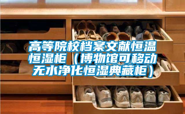 高等院校檔案文獻(xiàn)恒溫恒濕柜（博物館可移動無水凈化恒濕典藏柜）