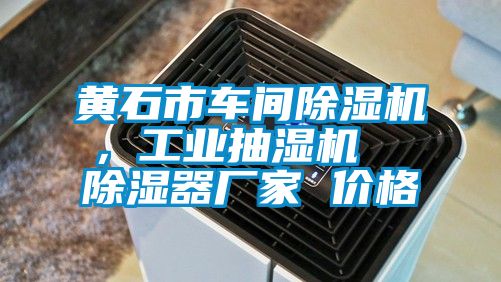 黃石市車間除濕機,工業(yè)抽濕機 除濕器廠家 價格