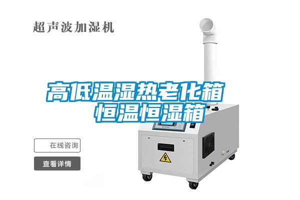 高低溫濕熱老化箱 恒溫恒濕箱