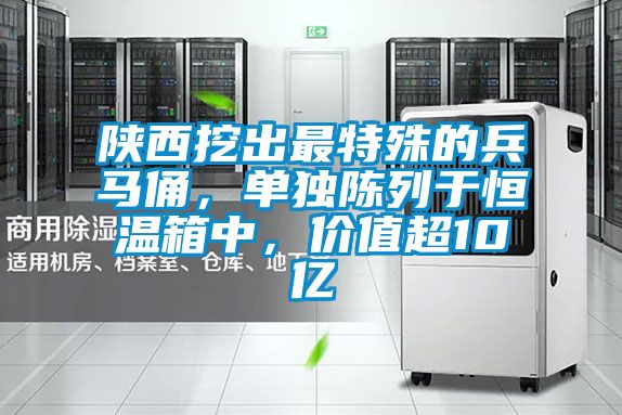 陜西挖出最特殊的兵馬俑,單獨陳列于恒溫箱中,價值超10億