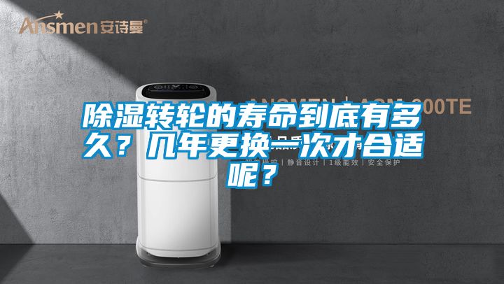 除濕轉(zhuǎn)輪的壽命到底有多久?幾年更換一次才合適呢?