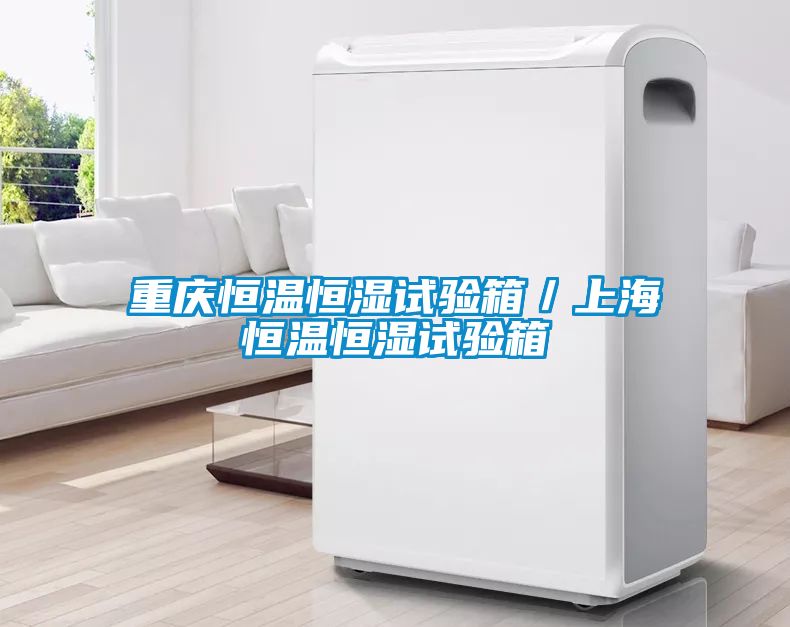 重慶恒溫恒濕試驗箱/上海恒溫恒濕試驗箱