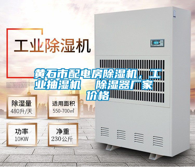 黃石市配電房除濕機,工業(yè)抽濕機 除濕器廠家 價格