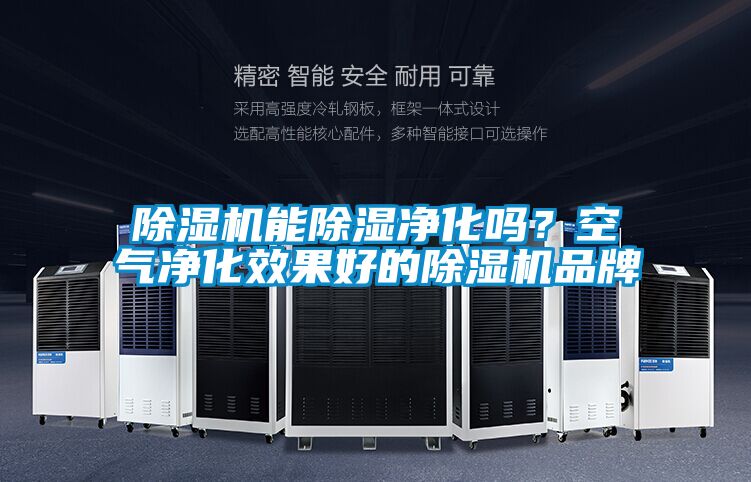 除濕機能除濕凈化嗎?空氣凈化效果好的除濕機品牌