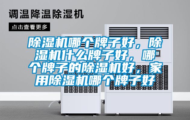 除濕機哪個牌子好，除濕機什么牌子好，哪個牌子的除濕機好，家用除濕機哪個牌子好