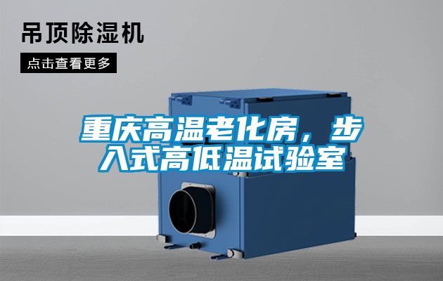 重慶高溫老化房,步入式高低溫試驗(yàn)室