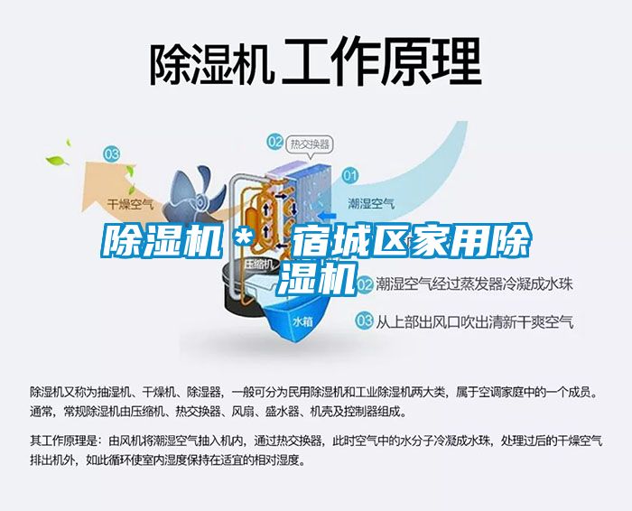 除濕機* 宿城區(qū)家用除濕機