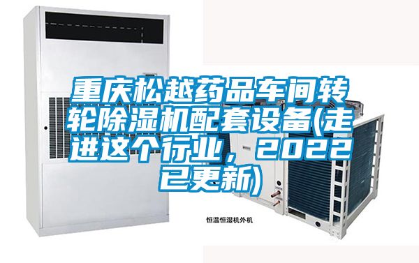 重慶松越藥品車間轉輪除濕機配套設備(走進這個行業(yè),2022已更新)