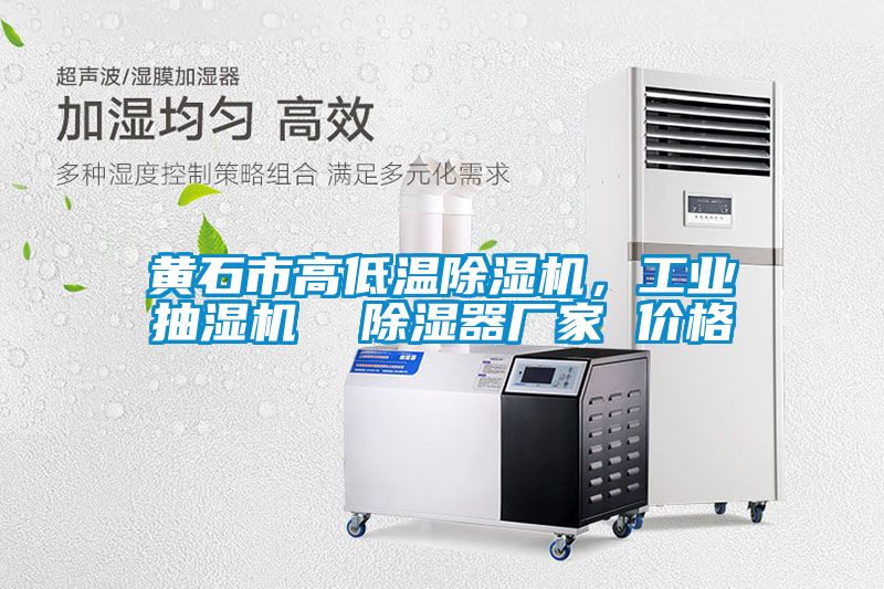 黃石市高低溫除濕機,工業(yè)抽濕機 除濕器廠家 價格