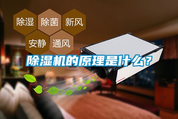 除濕機(jī)的原理是什么?