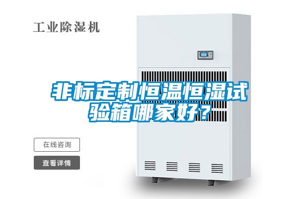非標(biāo)定制恒溫恒濕試驗(yàn)箱哪家好?