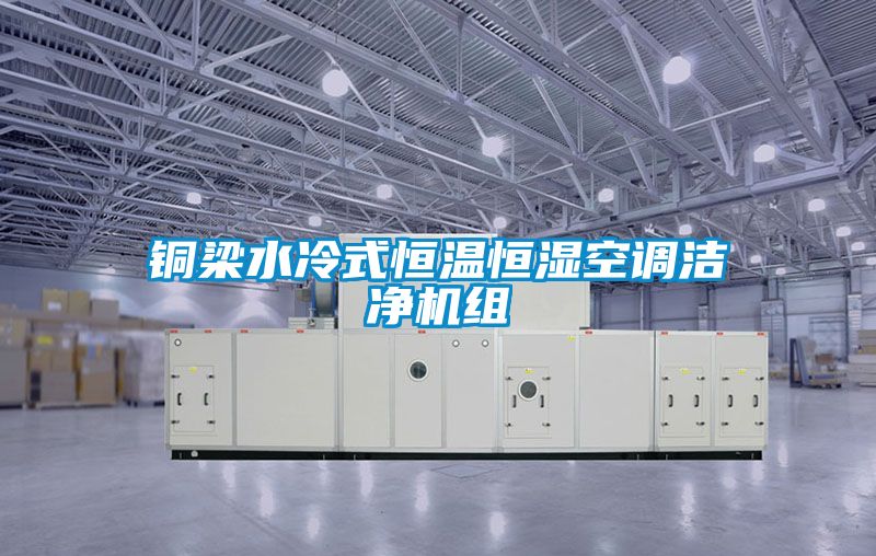 銅梁水冷式恒溫恒濕空調(diào)潔凈機(jī)組