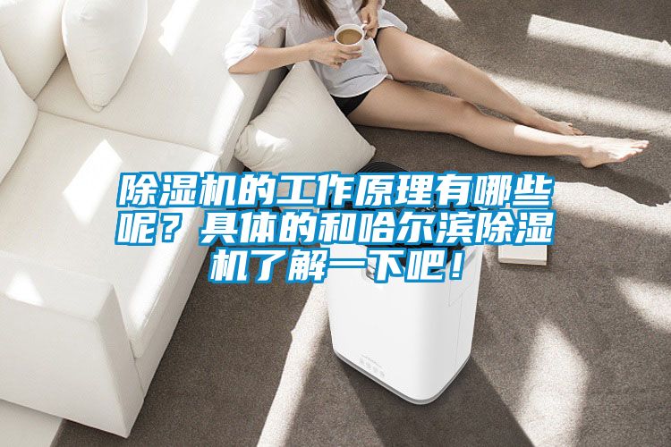 除濕機的工作原理有哪些呢?具體的和哈爾濱除濕機了解一下吧!