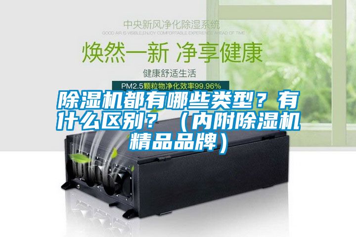 除濕機都有哪些類型?有什么區別?(內附除濕機精品品牌)