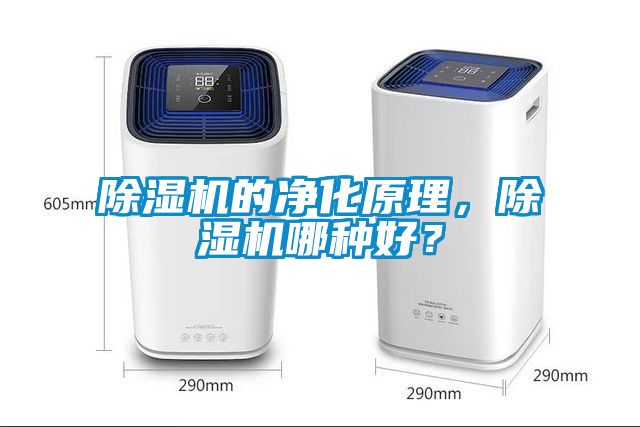除濕機的凈化原理,除濕機哪種好?