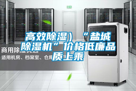 高效除濕)“鹽城除濕機(jī)”價(jià)格低廉品質(zhì)上乘