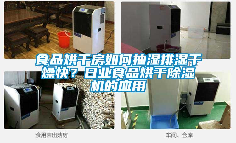 食品烘干房如何抽濕排濕干燥快?日業食品烘干除濕機的應用