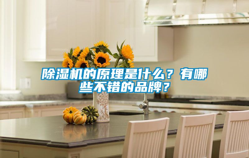 除濕機(jī)的原理是什么？有哪些不錯(cuò)的品牌？