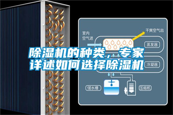 除濕機的種類,專家詳述如何選擇除濕機