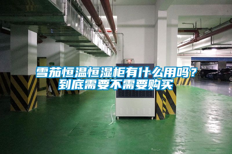 雪茄恒溫恒濕柜有什么用嗎?到底需要不需要購買